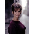 Claudia Cardinale Photo